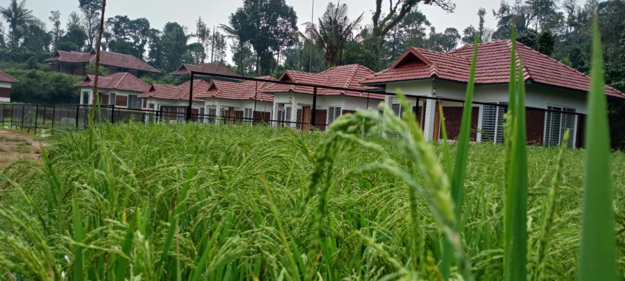 Camp Nishani Bhagamandala Exterior photo